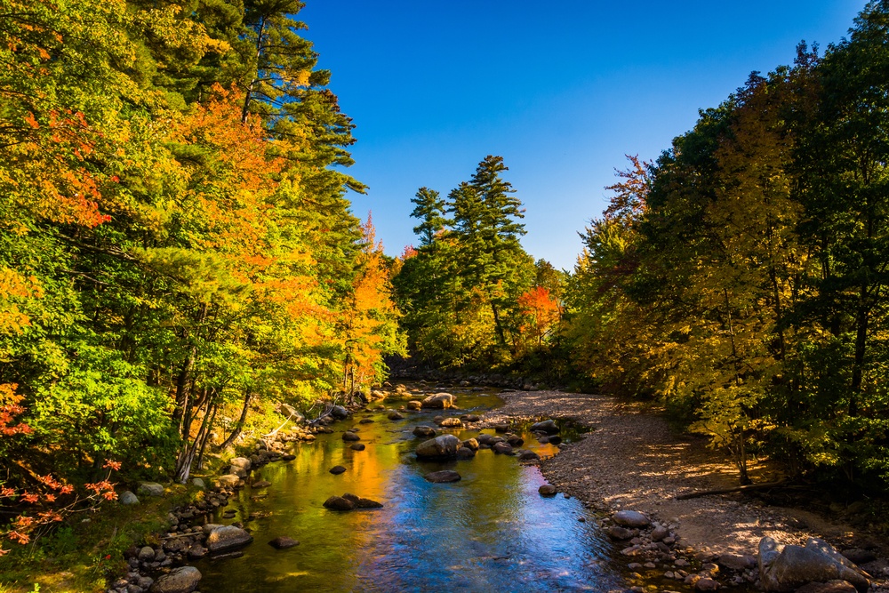 Early autumn color along the Swift River in Conway, New Hampshire..jpeg